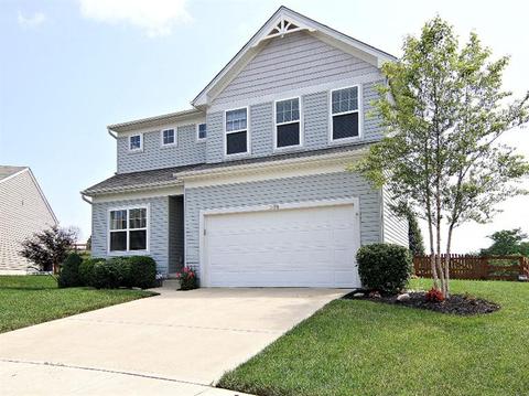 3190 Yellowtail Ter, Morrow, OH 45152 photo 1