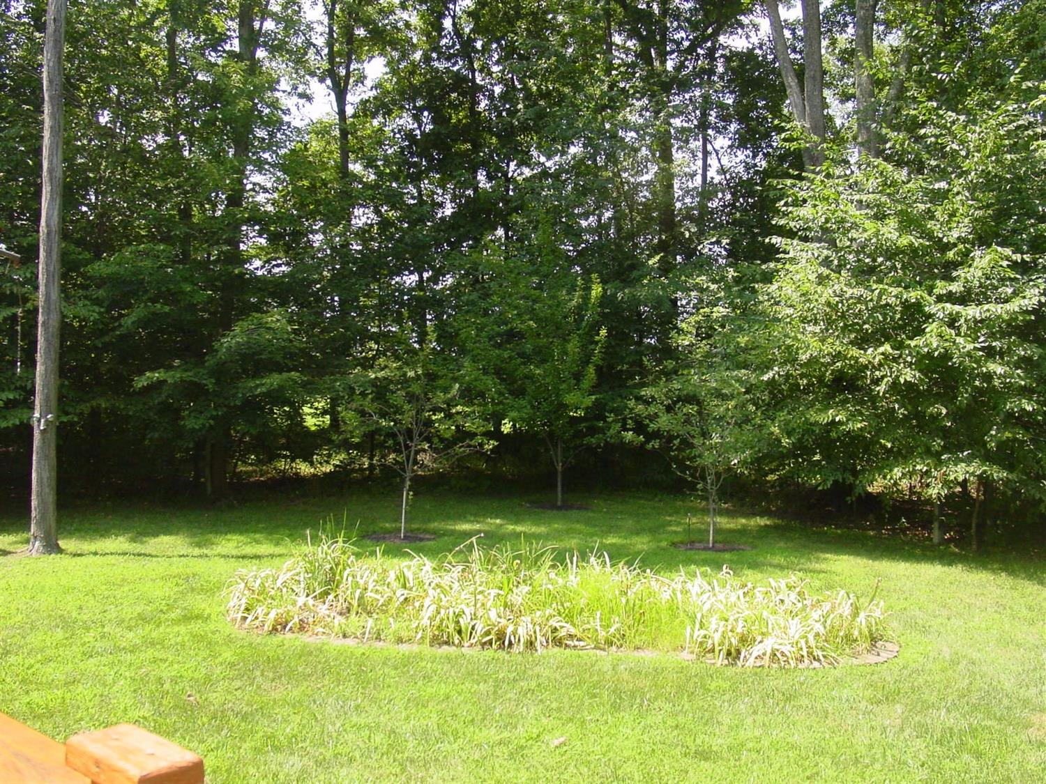 2012 Mistletoe Ct, Amelia, OH 45102 photo 19