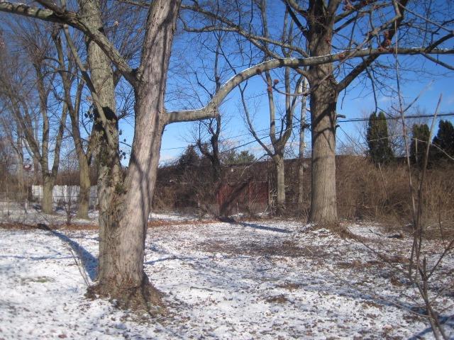 9300 Rambler Pl, Mount Healthy, OH 45231 photo 3