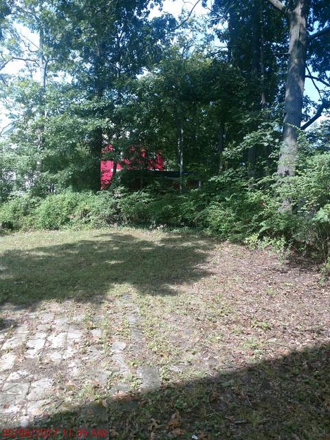 3519 Wabash Ave, Cincinnati, OH 45207 photo 2