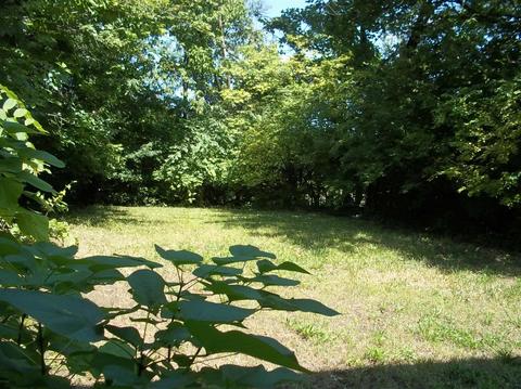 862 Ridgeway Ave, Cincinnati, OH 45229 photo 10