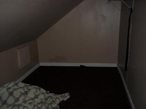 862 Ridgeway Ave, Cincinnati, OH 45229 photo 30