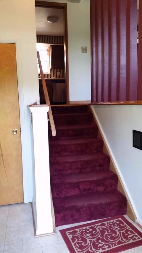 4477 Forest Trl, Cincinnati, OH 45244 photo 12