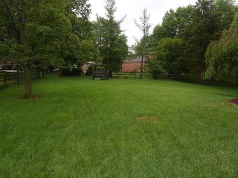 11620 Cedarview Dr, Montgomery, OH 45249 photo 24