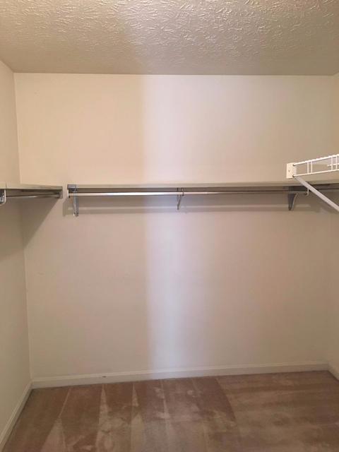 10800 Mill Rd, Cincinnati, OH 45240 photo 17