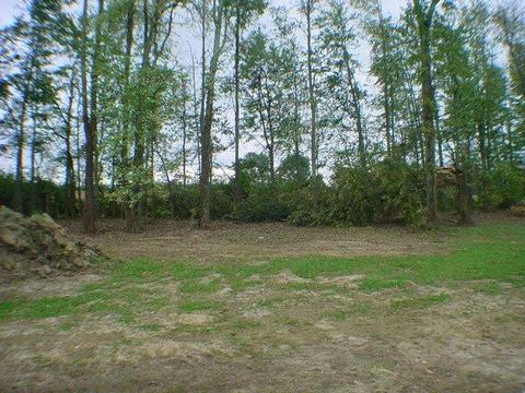 531 Mill St, Blanchester, OH 45107 photo 4