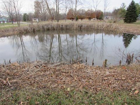 15954 Edgington Rd, Williamsburg, OH 45176 photo 19