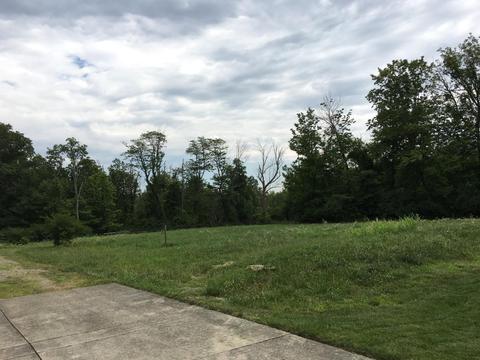 9992 Beech Dr, Springfield Twp., OH 45231 photo 3