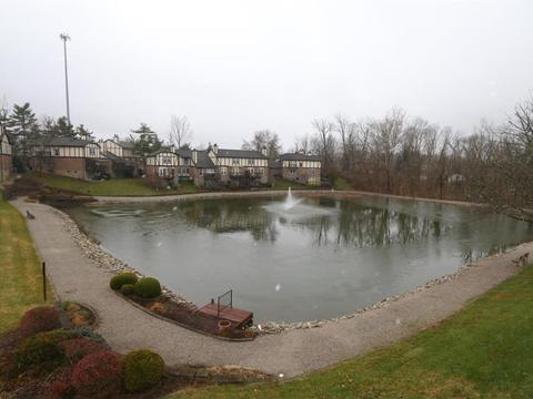 1255 Ebenezer Rd, Cincinnati, OH 45233 photo 18