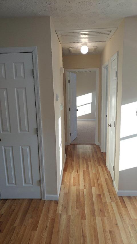 3223 Shamrock Dr, Morrow, OH 45152 photo 16