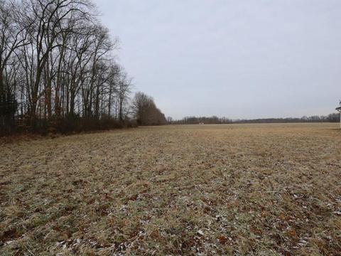 6793 Edenton Pleasant Plain Rd, Pleasant Plain, OH 45162 photo 11