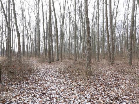 6793 Edenton Pleasant Plain Rd, Pleasant Plain, OH 45162 photo 12