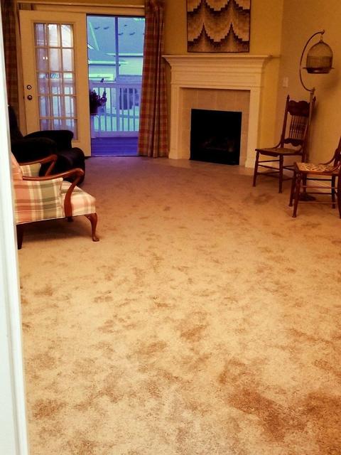 924 Glen Eagle Ct, Cincinnati, OH 45238 photo 8