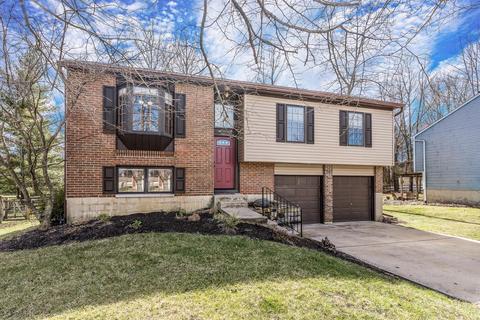 1201 Cedar Run Ct, Batavia, OH 45103 photo 1