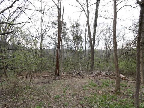 9049 Winthrop Dr, Montgomery, OH 45249 photo 24