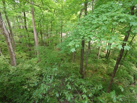 3770 Fallentree Ln, Blue Ash, OH 45236 photo 25