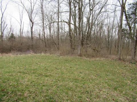 1315 Irvin Rd, Blanchester, OH 45107 photo 11