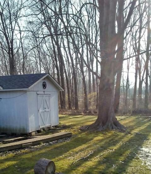 3254 Eiler Ln, Batavia Twp, OH 45102 photo 10