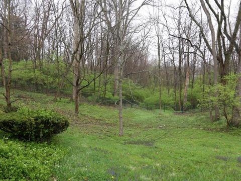 681 Doepke Ln, Cincinnati, OH 45231 photo 21