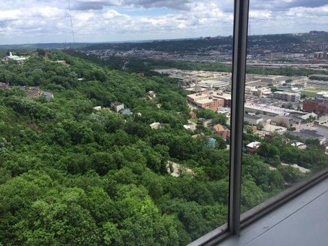 810 Matson Pl #1403, Cincinnati, OH 45204 photo 25