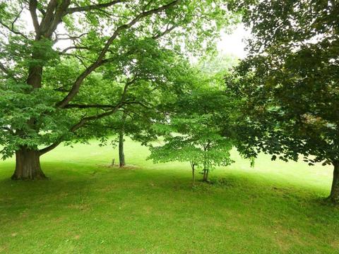 5555 Middleboro Rd, Morrow, OH 45152 photo 18