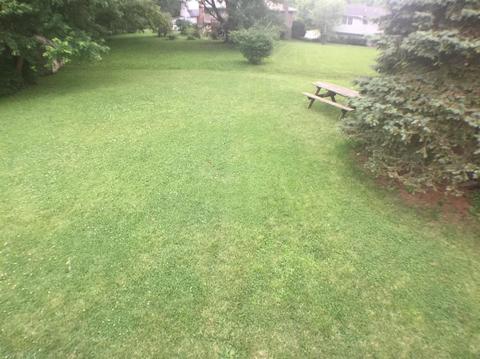 2919 Kimberly Dr, Maineville, OH 45039 photo 23