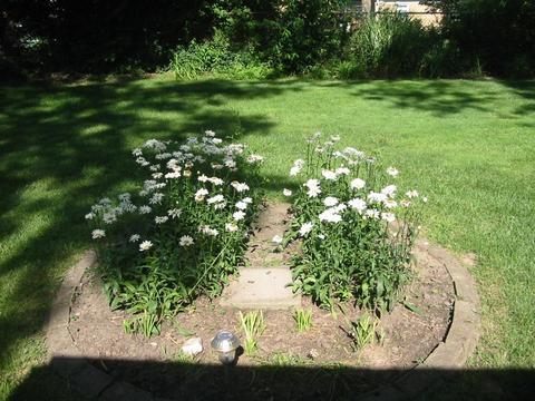 6710 Jamar Dr, North College Hill, OH 45224 photo 25