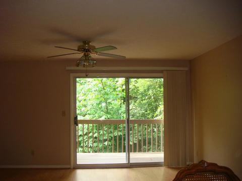 977 Cedar Rdg #8, Cincinnati, OH 45245 photo 4