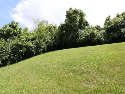 5347 Rapid Run Rd, Cincinnati, OH 45238 photo 25