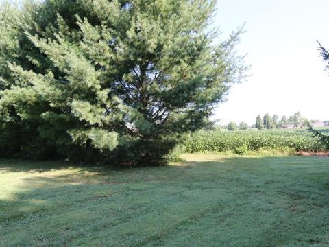 3308 Trovillo Rd, Morrow, OH 45152 photo 21
