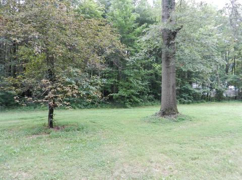 16559 Clements Rd, Mount Orab, OH 45154 photo 18