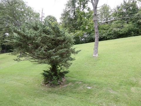 714 Winding Way, Cincinnati, OH 45245 photo 18