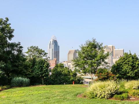 390 Baum St, Cincinnati, OH 45202 photo 24