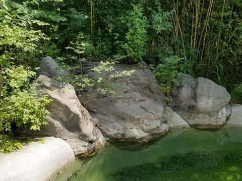 2356 Devils Backbone Rd, Cincinnati, OH 45233 photo 28