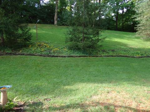 4351 Simca Ln, Cincinnati, OH 45211 photo 22