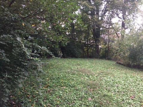 1639 Iliff Ave, Cincinnati, OH 45205 photo 2