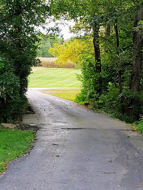 7458 Us Rt 68, Blanchester, OH 45107 photo 20