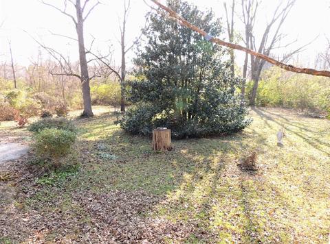 8025 Hopper Rd, Cincinnati, OH 45255 photo 25