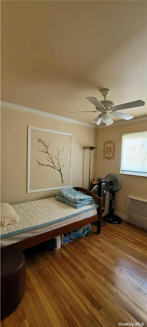21 Maple St, Reading, OH 45215 photo 13