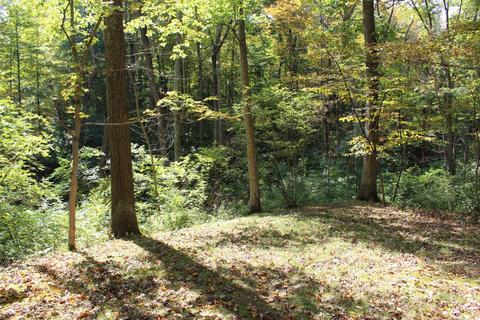 4675 Ward Rd, Morrow, OH 45152 photo 25