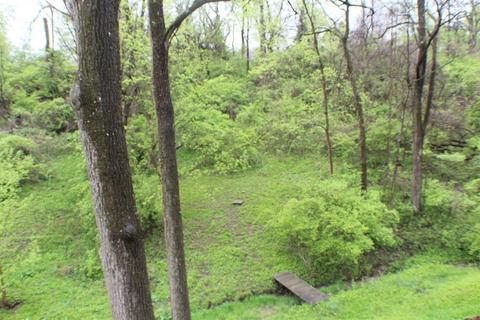 463 Beechtree Dr, Cincinnati, OH 45224 photo 25
