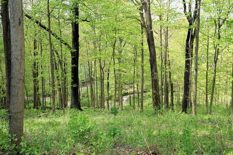 7900 Hawkhurst Ct, Cleves, OH 45002 photo 24