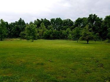 4646 Mount Rd, Mount Orab, OH 45154 photo 19