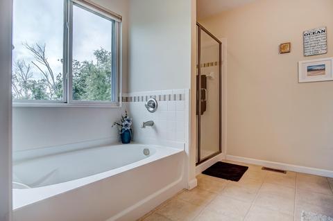 7317 Bridge Point Pass, Cincinnati, OH 45248 photo 15