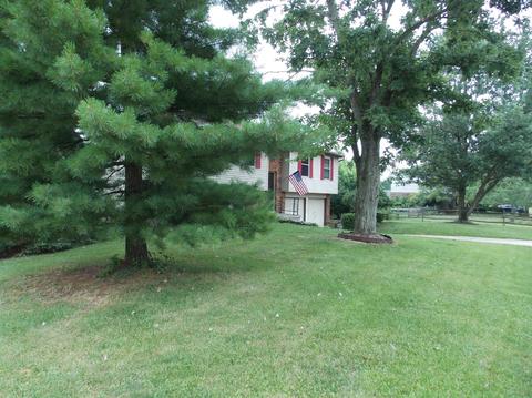 11548 Gravenhurst Dr, Cincinnati, OH 45231 photo 44