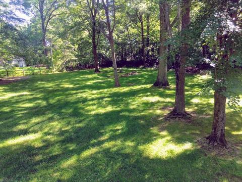 1274 Maplecrest Ct, Amelia, OH 45102 photo 37