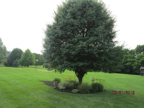 11693 Hawk Dr, Harrison, OH 45030 photo 31