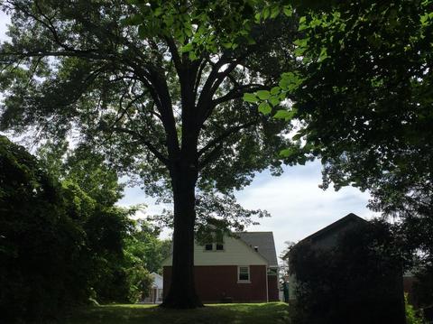 691 Overlook Ave, Cincinnati, OH 45238 photo 3