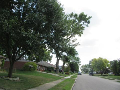 370 Thomas Dr, Franklin, OH 45005 photo 4