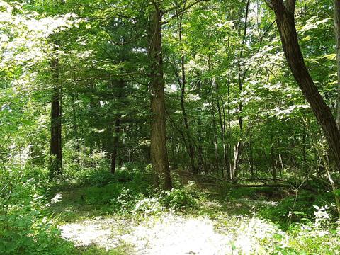 2274 Baas Rd, Batavia, OH 45103 photo 8